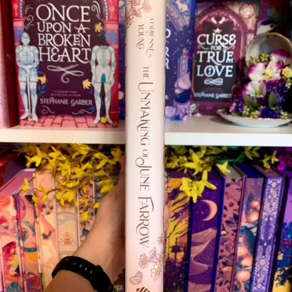 Owlcrate The Unmaking of June Farrow special edition book - Picture 3 of 5